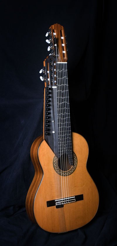 The Raga Guitar